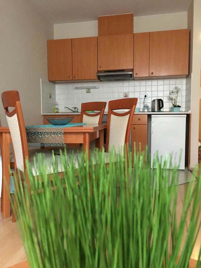 Orchidea Apartman Hegykő Exteriör bild