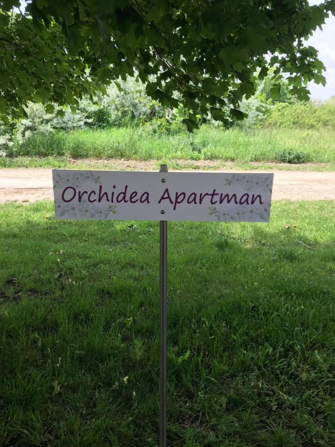 Orchidea Apartman Hegykő Exteriör bild